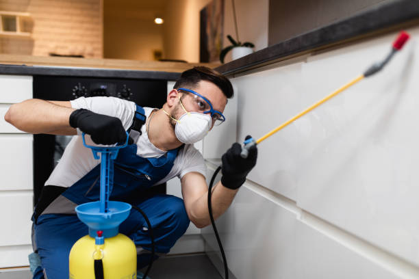 Best Mosquito Control Services  in Lynchburg, MS